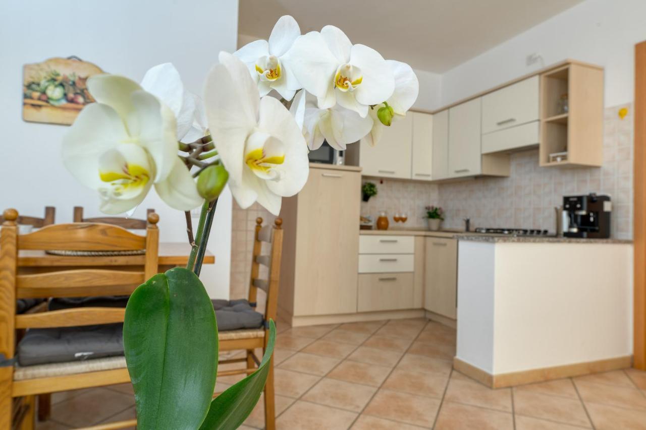 Izzhome Everyway Pula Dış mekan fotoğraf